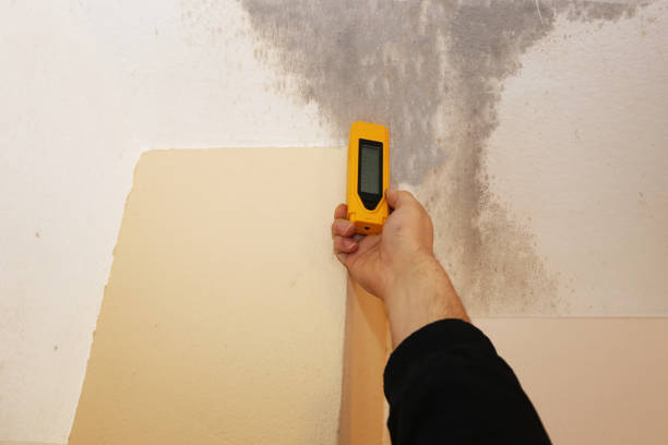Best Mold Prevention Services  in Athens, WV
