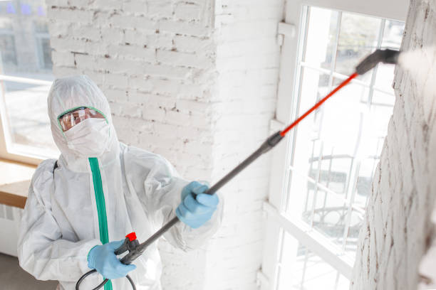 Best Mold Odor Removal Services  in Athens, WV