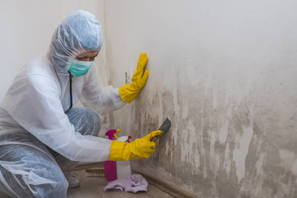 Best HVAC Mold Inspection and Cleaning  in Athens, WV
