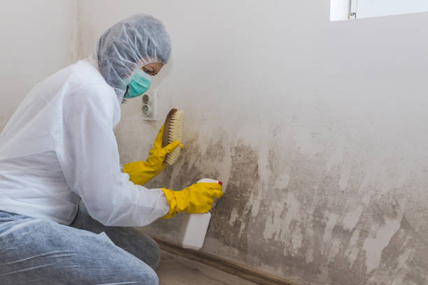 Best Post-Remediation Verification Testing  in Athens, WV