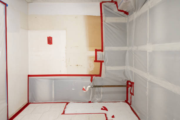 Best Crawl Space Mold Remediation  in Athens, WV