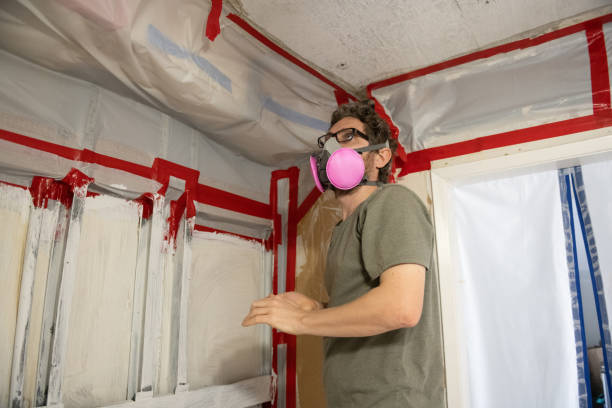 Best Environmental Consulting for Mold Prevention  in Athens, WV