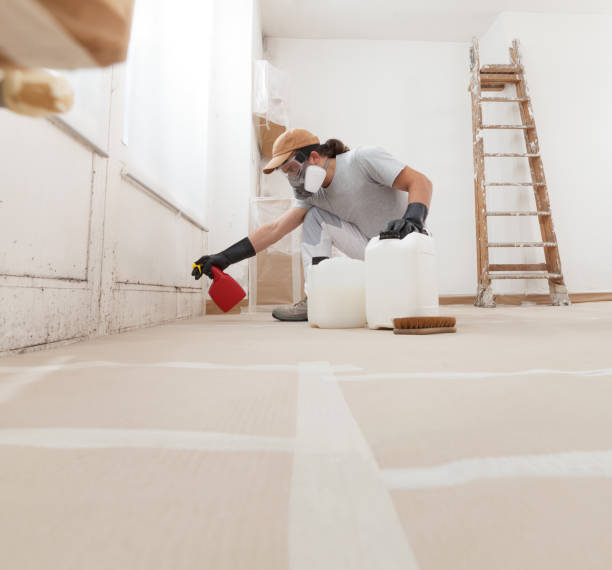 Best Real Estate Mold Inspection  in Athens, WV