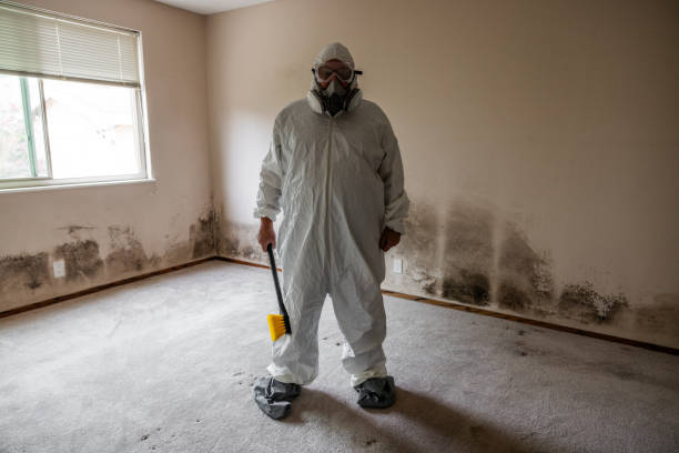 Best Comprehensive Air Testing for Mold Contaminants  in Athens, WV